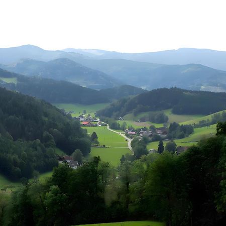 Ruhige Schwarzwald Ferienwohnung Buchenbach  ภายนอก รูปภาพ