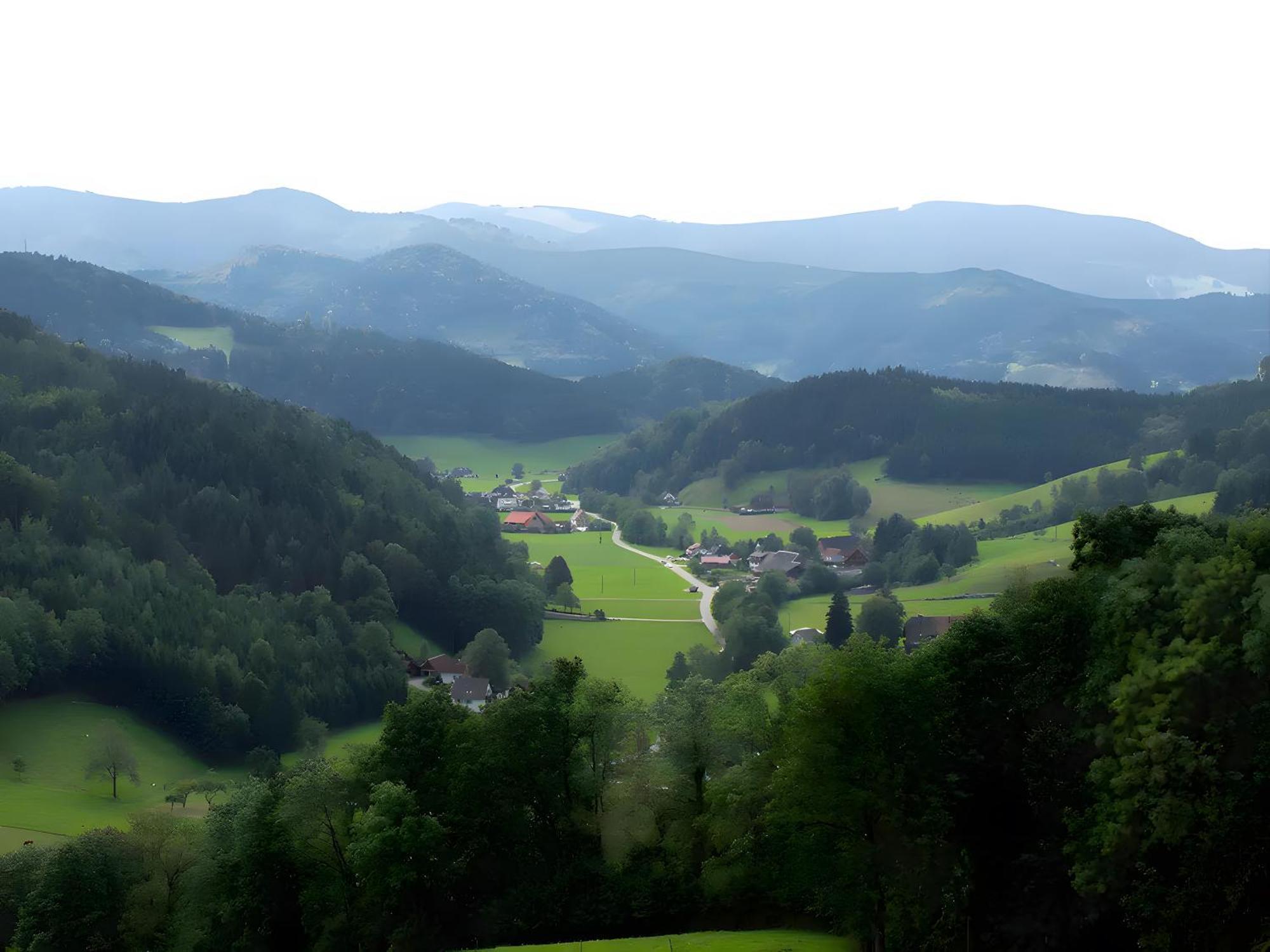 Ruhige Schwarzwald Ferienwohnung Buchenbach  ภายนอก รูปภาพ